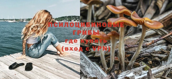 спайс Краснослободск