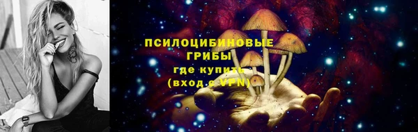спайс Краснослободск