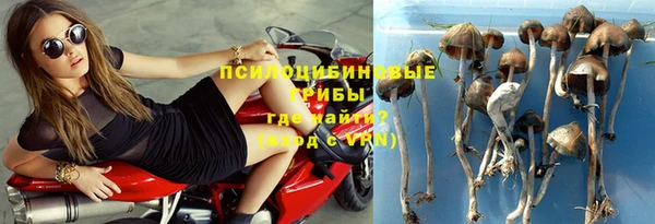 спайс Краснослободск