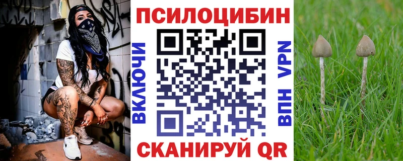 Купить где  Бирск  Псилоцибиновые грибы прущие грибы 